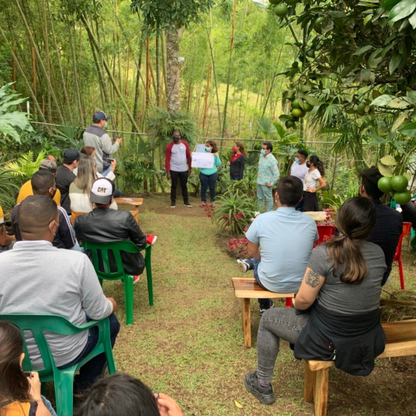 Diseno-sin-titulo-7-1